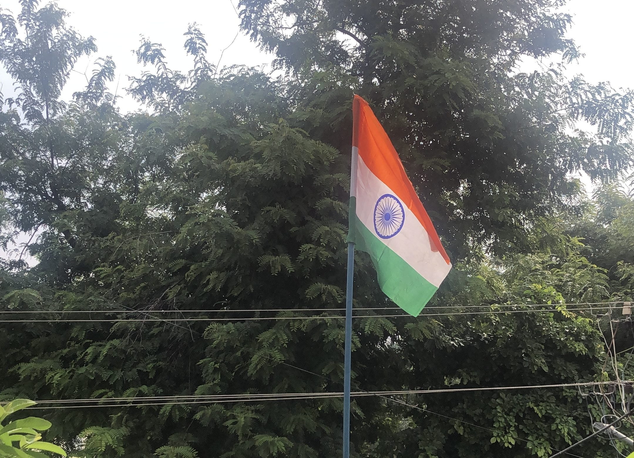har ghar tiranga winner