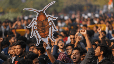 Exploring how the Cockroach Janta Party became a symbol of youth unemployment, political satire and social media activism in India.