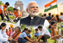 Sewa Pakhwada, BJP, Modi